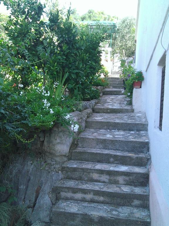 טיסנו Apartments Luka מראה חיצוני תמונה