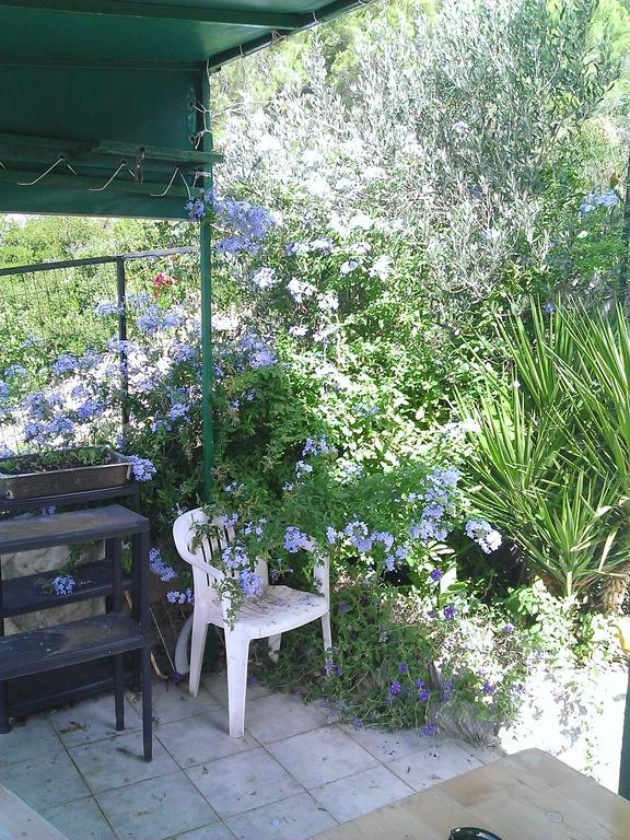 טיסנו Apartments Luka מראה חיצוני תמונה
