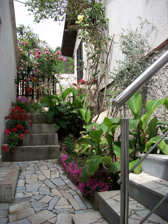 טיסנו Apartments Luka מראה חיצוני תמונה
